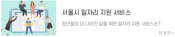 서울시지원서비스.png